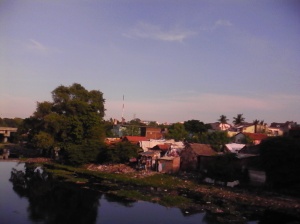 Conjusted slum on the bank of Cooum